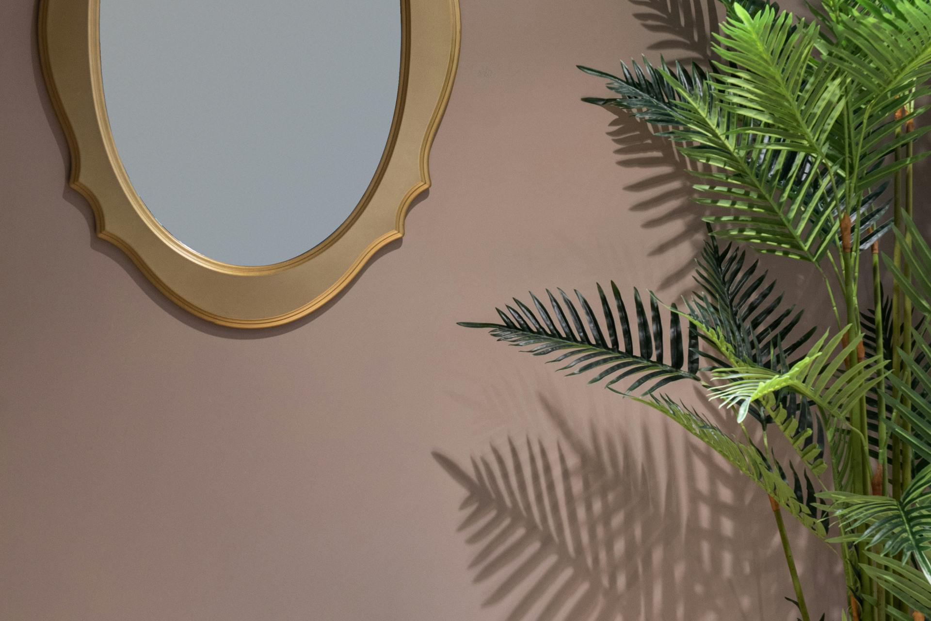 pexels-photo-6186516